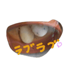 家族はペット4（個別スタンプ：15）