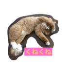 にゃんこのふふ（個別スタンプ：18）