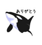 シャチたち2（個別スタンプ：13）