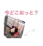 Chibizz（個別スタンプ：5）