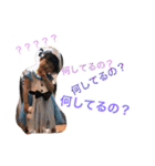 Chibizz（個別スタンプ：20）