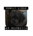 ガブさんのひとこと 〜人生を語る編〜（個別スタンプ：5）