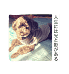 ガブさんのひとこと 〜人生を語る編〜（個別スタンプ：6）