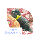 ガブさんのひとこと 〜人生を語る編〜（個別スタンプ：7）