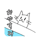 真顔で伝える女性と猫スタンプ（個別スタンプ：12）
