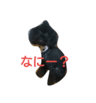 犬こてつ3（個別スタンプ：4）