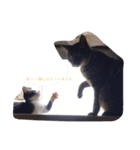 猫ちゃん 大好き（個別スタンプ：3）