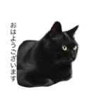 黒猫マーちゃん2（個別スタンプ：6）