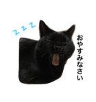 黒猫マーちゃん2（個別スタンプ：7）
