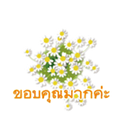 ありがとう花が咲くよ タイ語版（改訂版）（個別スタンプ：13）