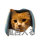 お父さん用（個別スタンプ：5）