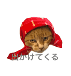 お父さん用（個別スタンプ：7）