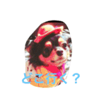 1Fam チワワ（個別スタンプ：33）