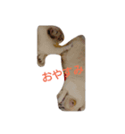 mashumaro-mattari（個別スタンプ：8）