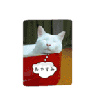 ナナだよ（個別スタンプ：1）