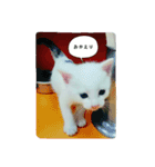 ナナだよ（個別スタンプ：4）