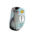 ナナだよ（個別スタンプ：7）
