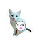 ナナだよ（個別スタンプ：10）