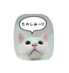 ナナだよ（個別スタンプ：24）