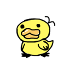 ぴよぴよぴーちゃん（個別スタンプ：1）