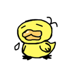 ぴよぴよぴーちゃん（個別スタンプ：4）