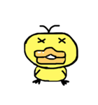 ぴよぴよぴーちゃん（個別スタンプ：31）