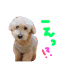 むーす＆とろろ（個別スタンプ：5）