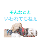 むーす＆とろろ（個別スタンプ：10）