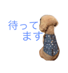むーす＆とろろ（個別スタンプ：12）