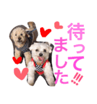 むーす＆とろろ（個別スタンプ：14）