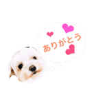 むーす＆とろろ（個別スタンプ：17）