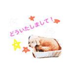 むーす＆とろろ（個別スタンプ：18）