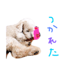むーす＆とろろ（個別スタンプ：19）