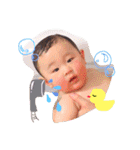 ぽんすけ Ver.2（個別スタンプ：8）