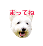 ぼくスキップです！（個別スタンプ：6）