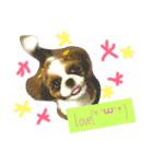 シーズーよもぎ（個別スタンプ：3）