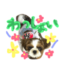 シーズーよもぎ（個別スタンプ：9）