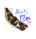 シーズーよもぎ（個別スタンプ：14）