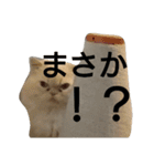 猫のラベルくん（個別スタンプ：10）