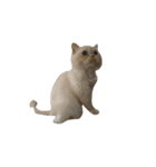 猫のラベルくん（個別スタンプ：22）