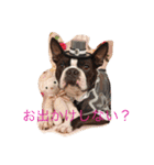 続、続編（個別スタンプ：6）