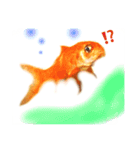 金魚のキンたん1（個別スタンプ：7）