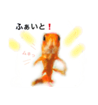 金魚のキンたん1（個別スタンプ：10）