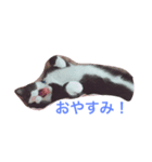 マロンくんの日常（個別スタンプ：4）