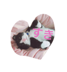 マロンくんの日常（個別スタンプ：6）