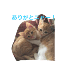 たろうとさくらとゆかいな仲間たち（個別スタンプ：1）