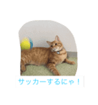 たろうとさくらとゆかいな仲間たち（個別スタンプ：2）