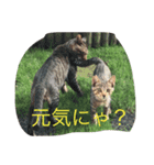 たろうとさくらとゆかいな仲間たち（個別スタンプ：5）