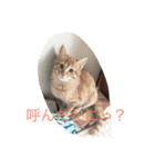 たろうとさくらとゆかいな仲間たち（個別スタンプ：7）