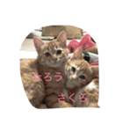 たろうとさくらとゆかいな仲間たち（個別スタンプ：8）